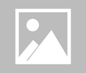 英超弃将冬窗加盟18场14球夺意甲银靴仅差金靴3球 助罗马踢欧冠
